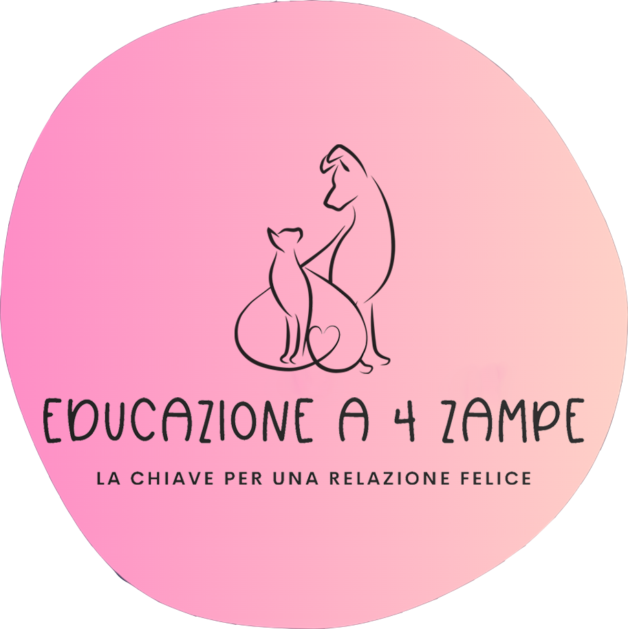 Educazione a 4 Zampe